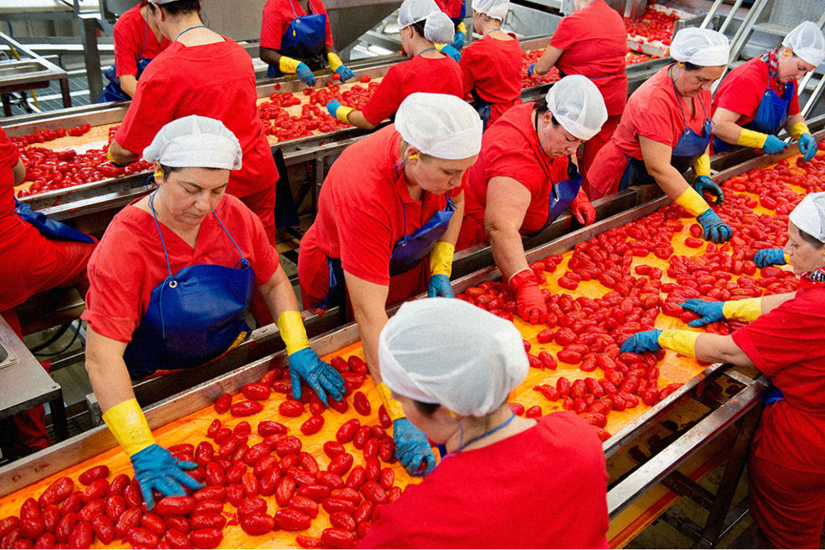 Il pomodoro: il Cav. Luigi Salvati ed il Re della dieta mediterranea