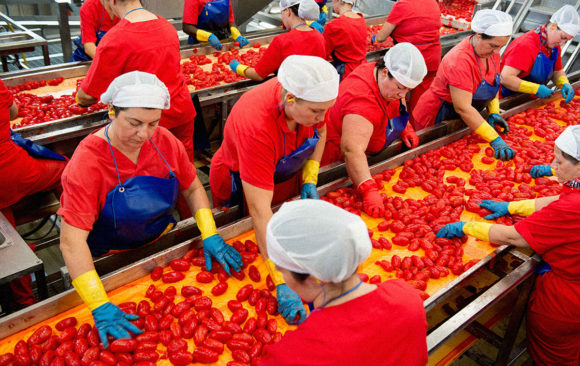 Il pomodoro: il Cav. Luigi Salvati ed il Re della dieta mediterranea