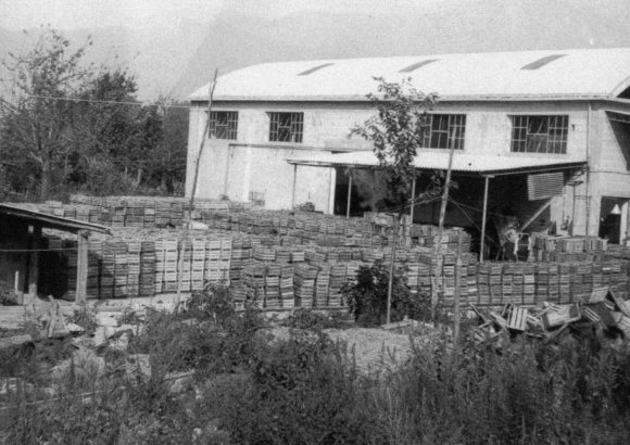 Amarcord: le nostre foto storiche